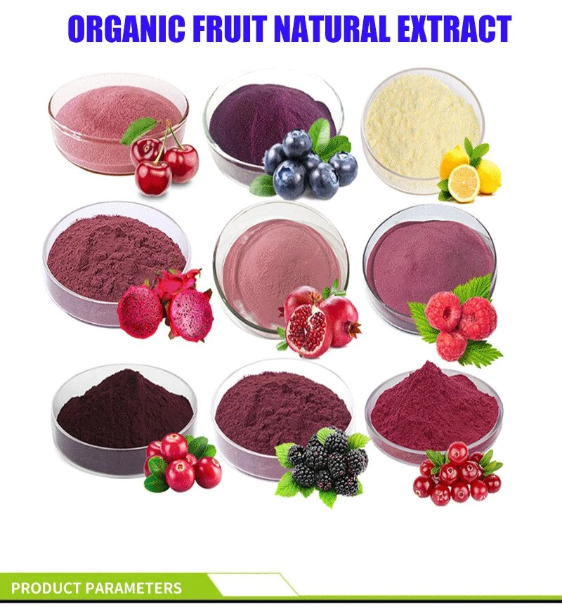 Wholesale Chinese Bulk Price 100% Pure Organic Monk Fruit Concentrate Juice Powder