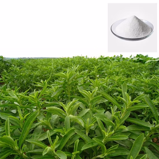 高品質の純粋な天然甘味料ステビア抽出粉末。有機ステビア抽出粉末